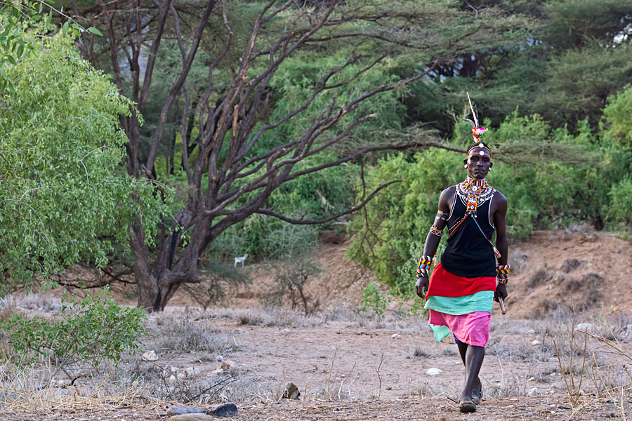 83a. He is arriving   Samburu warrior   Kenya